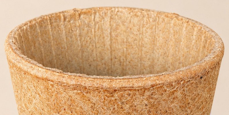 Gros plan sur le rebord roulé de la tasse Original et les fines nervures verticales de sa gaufrette cuite.